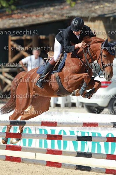 MATTEUCCI_IPPIA_GIO CAV 2011_SS3_7034.jpg